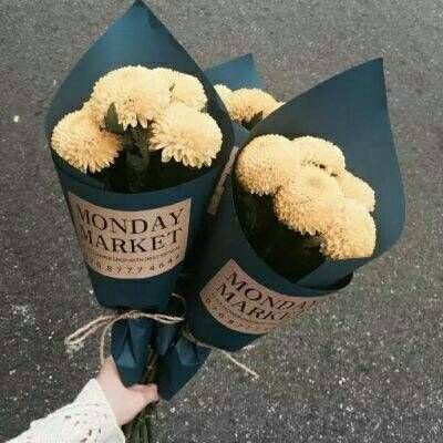 hth会体会官方网页版