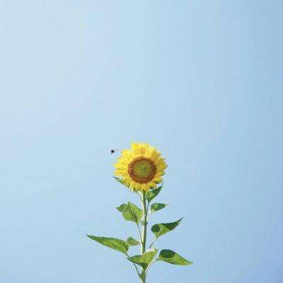 云平台app手机app下载