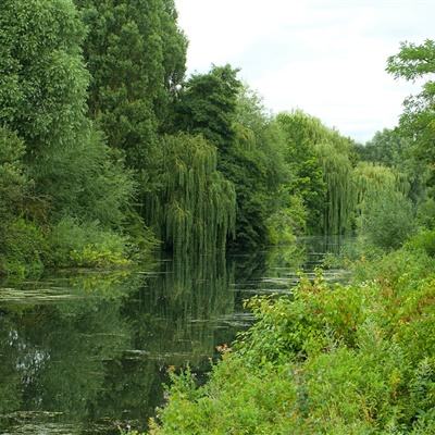 华体会登录手机版